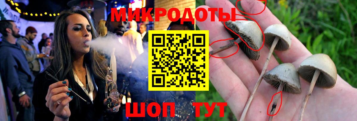 Псилоцибиновые грибы мицелий Краснодар